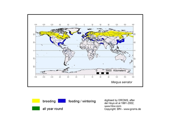Verbreitungskarte von Mergus serrator