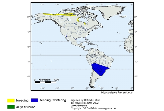 Verbreitungskarte von Micropalama himantopus