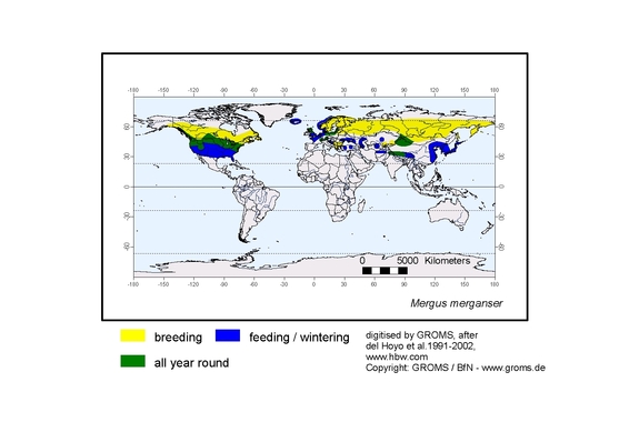 Verbreitungskarte von Mergus merganser