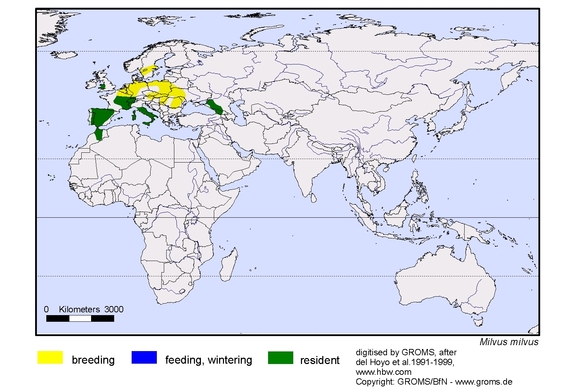 Verbreitungskarte von Milvus milvus