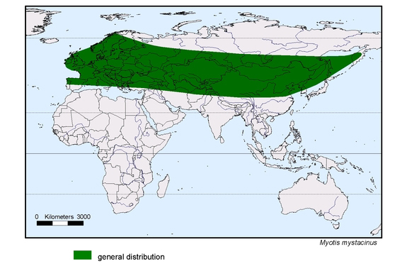 Verbreitungskarte von Myotis mystacinus