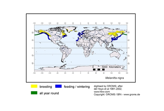 Verbreitungskarte von Melanitta nigra