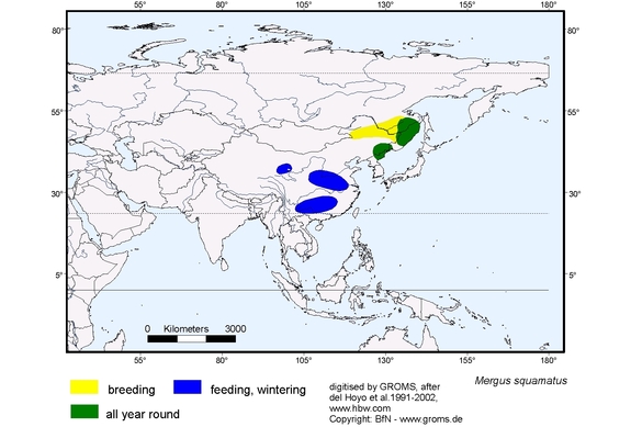 Verbreitungskarte von Mergus squamatus