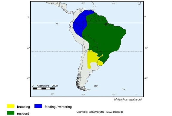 Verbreitungskarte von Myiarchus swainsoni