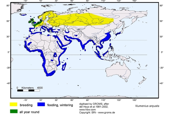 Verbreitungskarte von Numenius arquata
