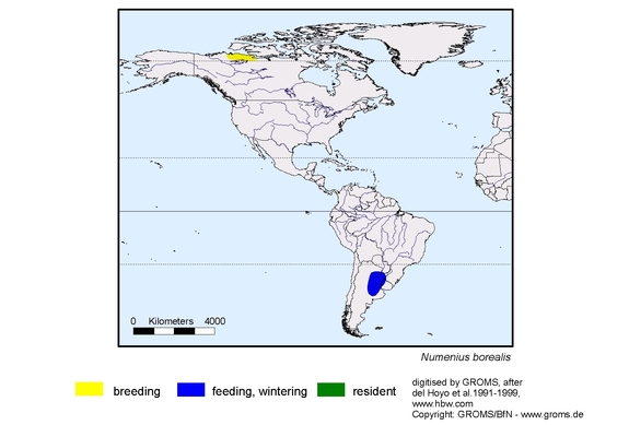 Verbreitungskarte von Numenius borealis