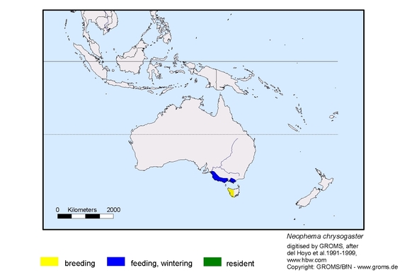 Verbreitungskarte von Neophema chrysogaster