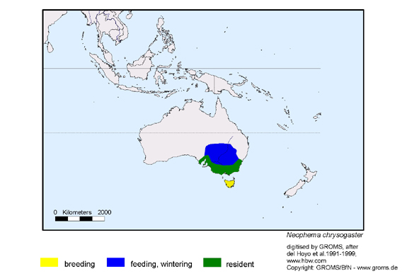 Verbreitungskarte von Neophema chrysostoma