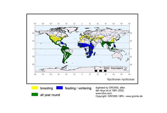 Verbreitungskarte von Nycticorax nycticorax