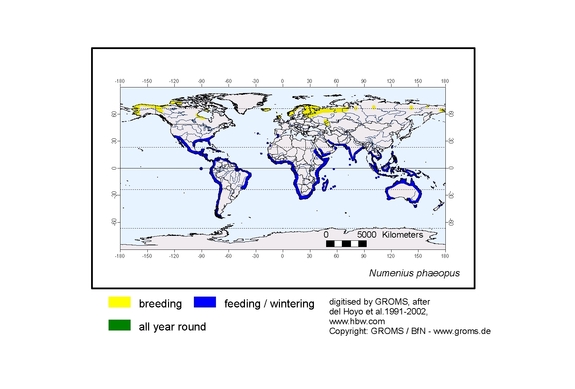 Verbreitungskarte von Numenius phaeopus