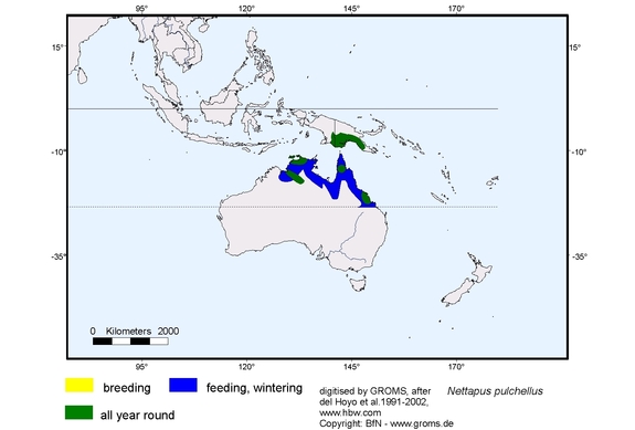 Verbreitungskarte von Nettapus pulchellus