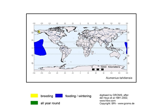 Verbreitungskarte von Numenius tahitiensis