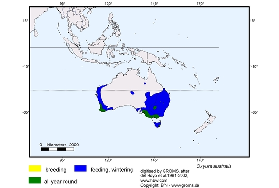 Verbreitungskarte von Oxyura australis