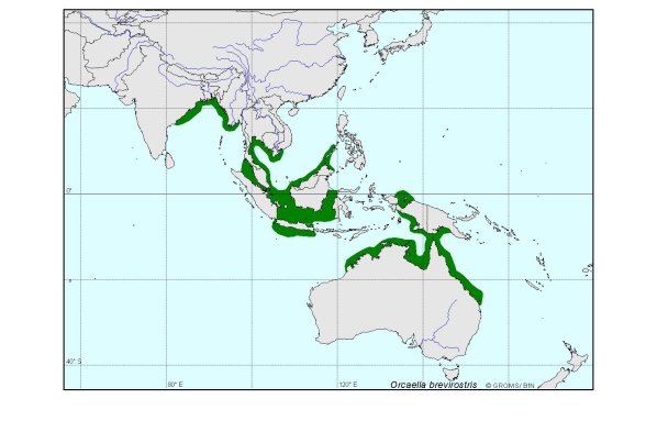 Verbreitungskarte von Orcaella brevirostris