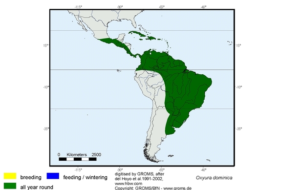 Verbreitungskarte von Oxyura dominica