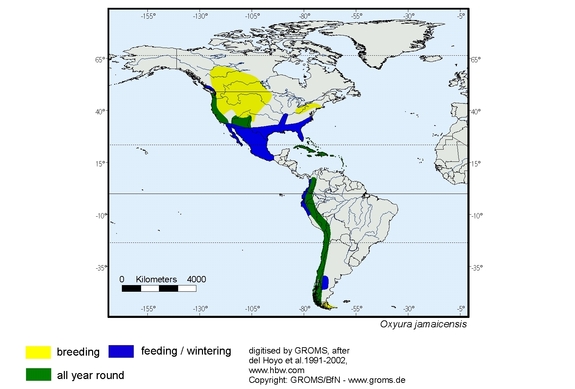 Verbreitungskarte von Oxyura jamaicensis