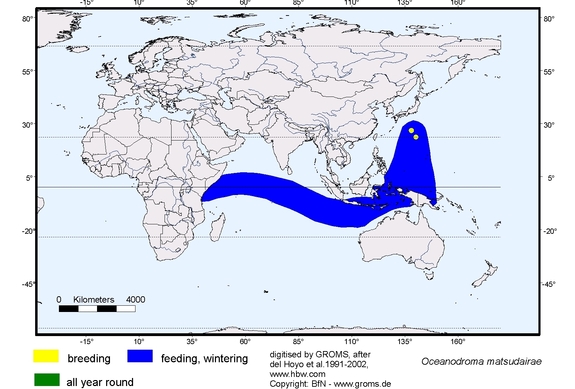 Verbreitungskarte von Oceanodroma matsudairae