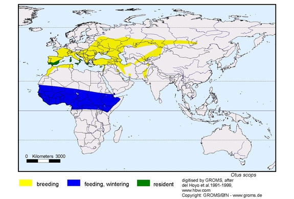 Verbreitungskarte von Otus scops