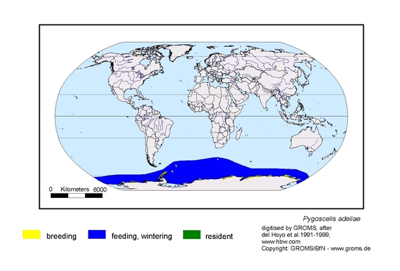 Verbreitungskarte von Pygoscelis adeliae