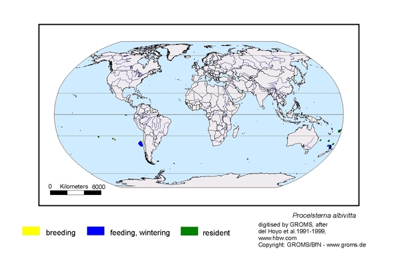 Verbreitungskarte von Procelsterna albivitta