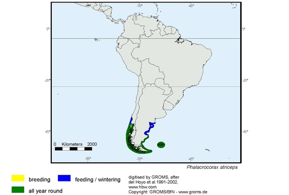 Verbreitungskarte von Phalacrocorax atriceps
