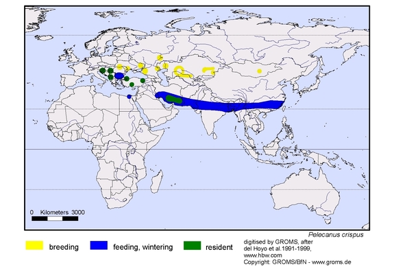 Verbreitungskarte von Pelecanus crispus