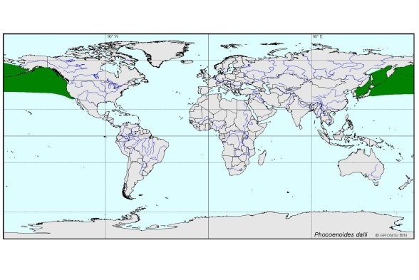 Verbreitungskarte von Phocoenoides dalli