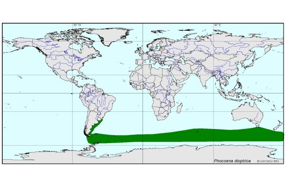 Verbreitungskarte von Phocoena dioptrica