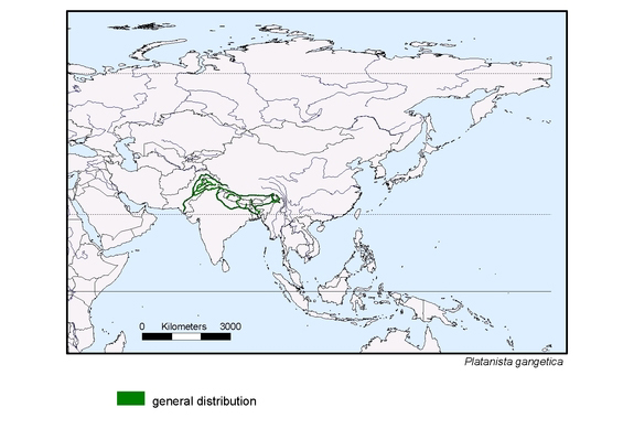 Verbreitungskarte von Platanista gangetica