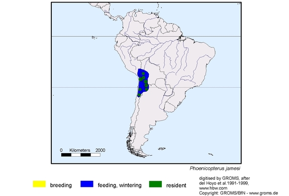 Verbreitungskarte von Phoenicopterus jamesi
