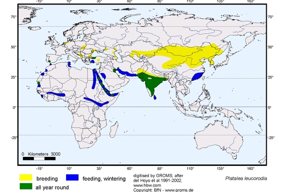 Verbreitungskarte von Platalea leucorodia