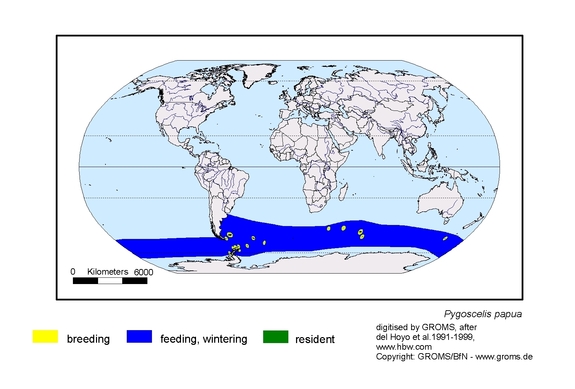 Verbreitungskarte von Pygoscelis papua