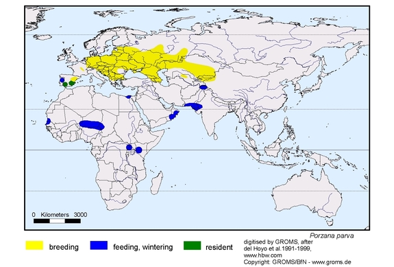 Verbreitungskarte von Porzana parva