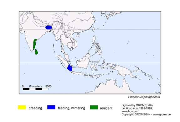 Verbreitungskarte von Pelecanus philippensis