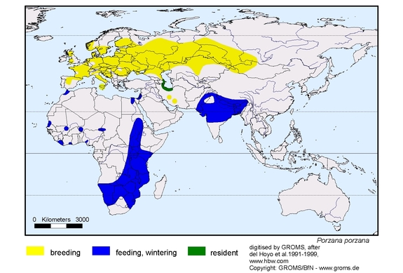 Verbreitungskarte von Porzana porzana