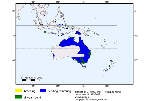 Verbreitungskarte von Platalea regia