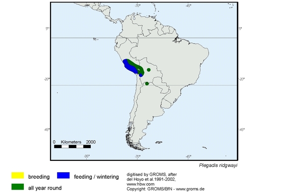 Verbreitungskarte von Plegadis ridgwayi