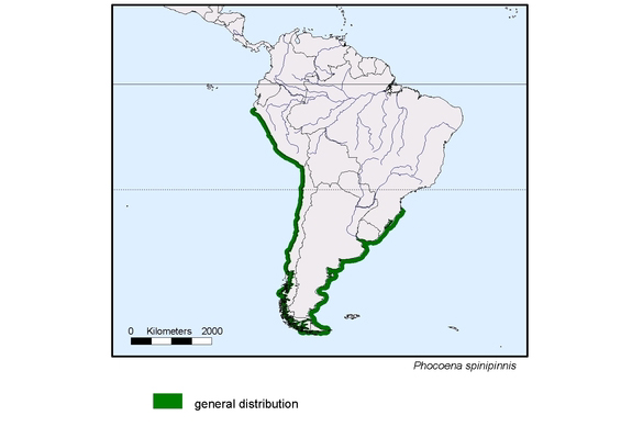 Verbreitungskarte von Phocoena spinipinnis