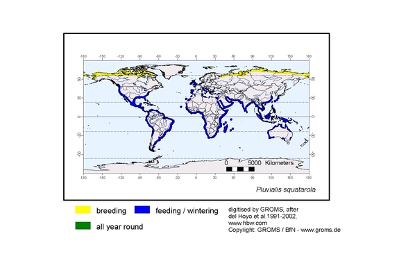 Verbreitungskarte von Pluvialis squatarola