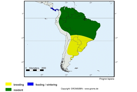 Verbreitungskarte von Progne tapera