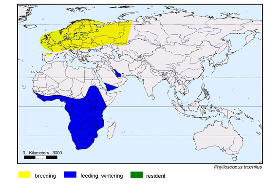 Verbreitungskarte von Phylloscopus trochilus