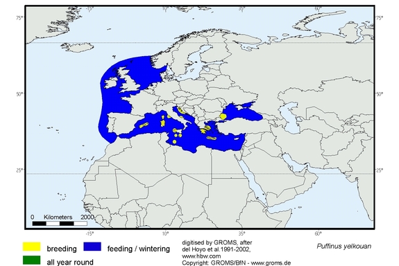Verbreitungskarte von Puffinus yelkouan