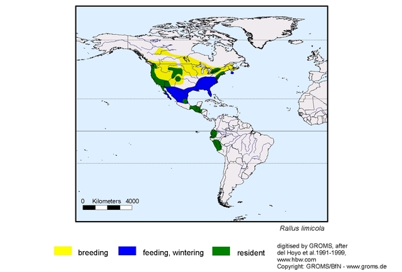 Verbreitungskarte von Rallus limicola