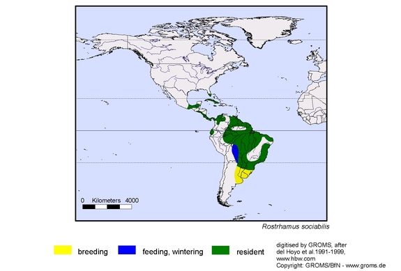 Verbreitungskarte von Rostrhamus sociabilis