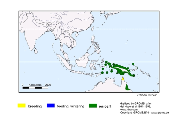 Verbreitungskarte von Rallina tricolor