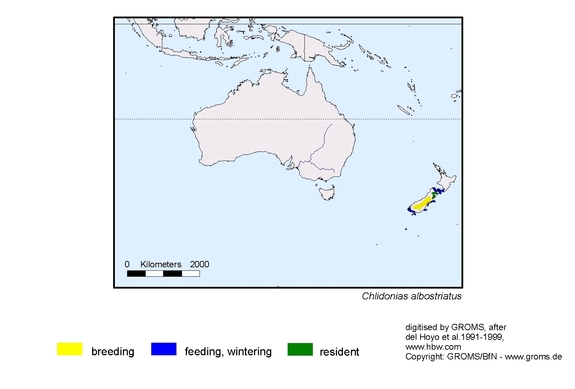 Verbreitungskarte von Chlidonias albostriatus