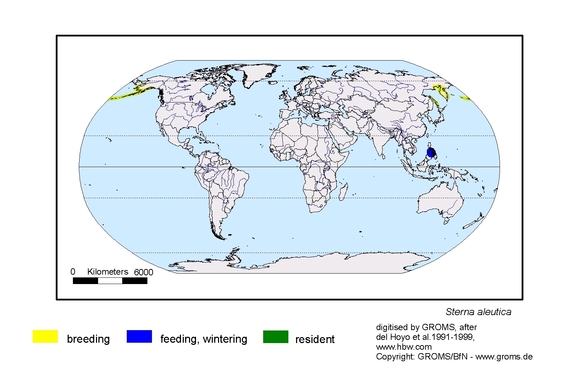 Verbreitungskarte von Sterna aleutica
