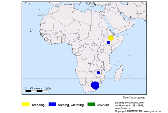 Verbreitungskarte von Sarothrura ayresi