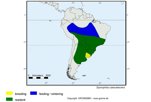 Verbreitungskarte von Sporophila caerulescens