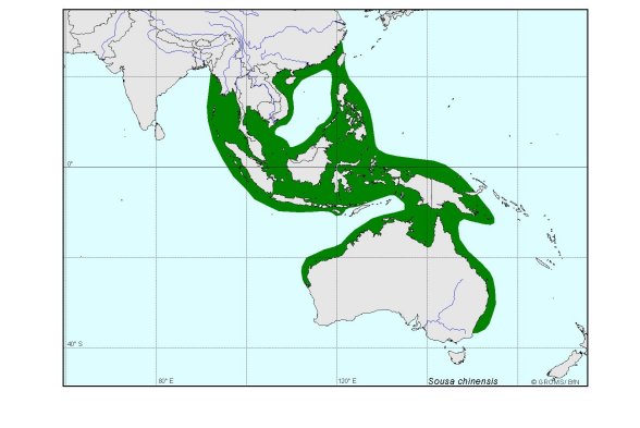 Verbreitungskarte von Sousa chinensis
